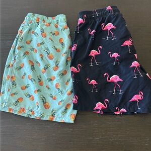 Source Unknown Pineapple and Flamingo Swim Trunks